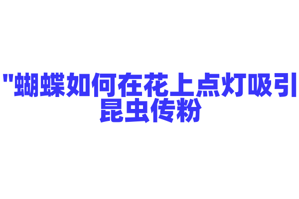 "蝴蝶如何在花上点灯吸引昆虫传粉？"
